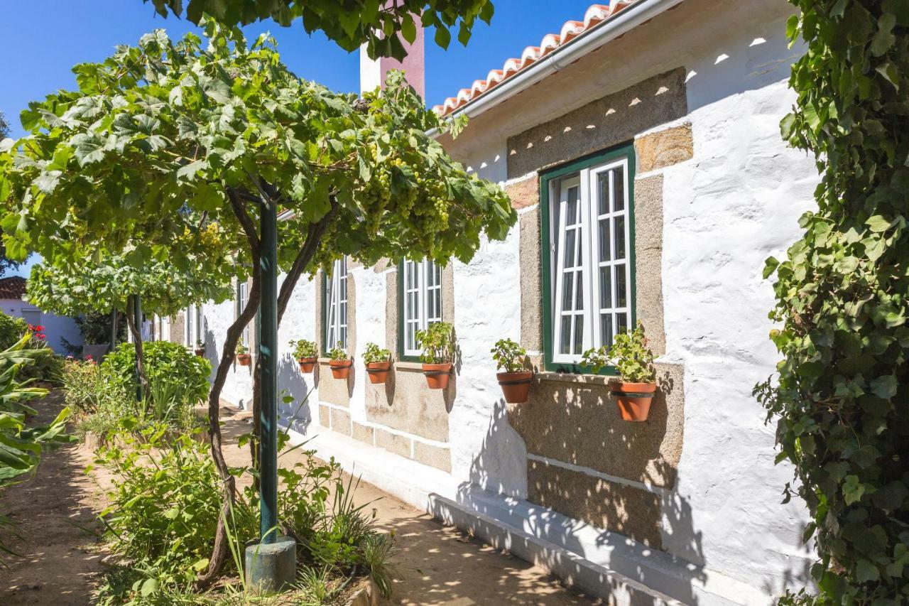 Quinta Do Valdalagea Guest House Peso da Regua Exterior photo